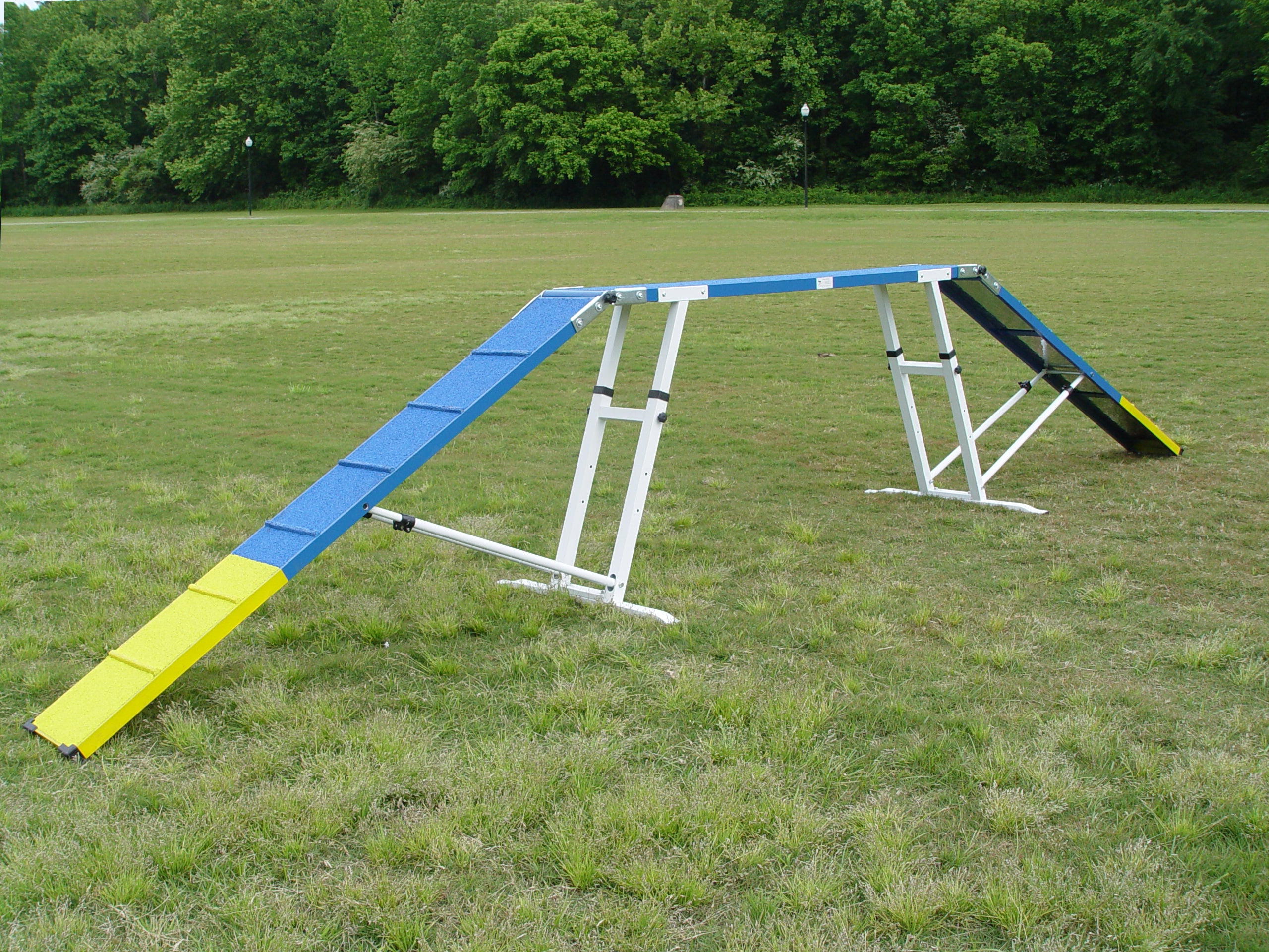 Dog agility outlet equipment